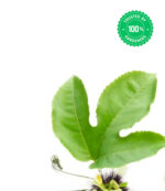 Passion Fruit Red Plant - Image 3