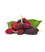 Mulberry Fruit Plant Morus - Image 2