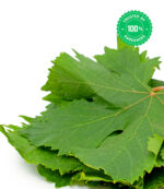 Grapes Plant Vitis Vinifera - Image 4