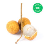 Cat’s Eye Plant Dimocarpus longan - Image 3