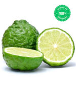 Kaffir Lime Plant Citrus hystrix - Image 2