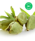 Cardamom Plant - Image 3