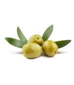 Olive Fruit Plant - Image 3