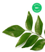 Curry Leaves Plant - Image 3